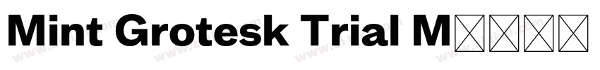 Mint Grotesk Trial M字体转换
